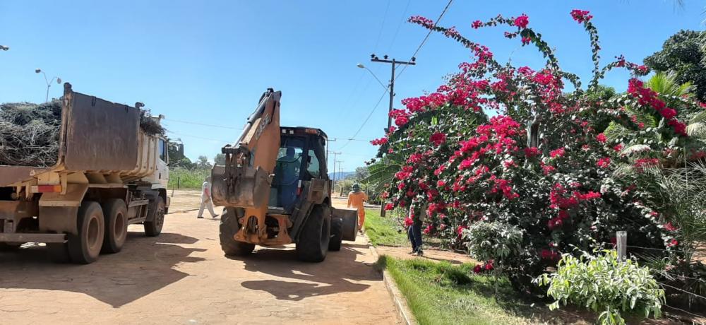 Prefeitura de Jataí realiza mutirão de poda e limpeza na Praça da Bíblia